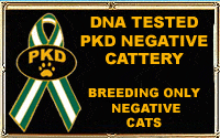 PKD negative